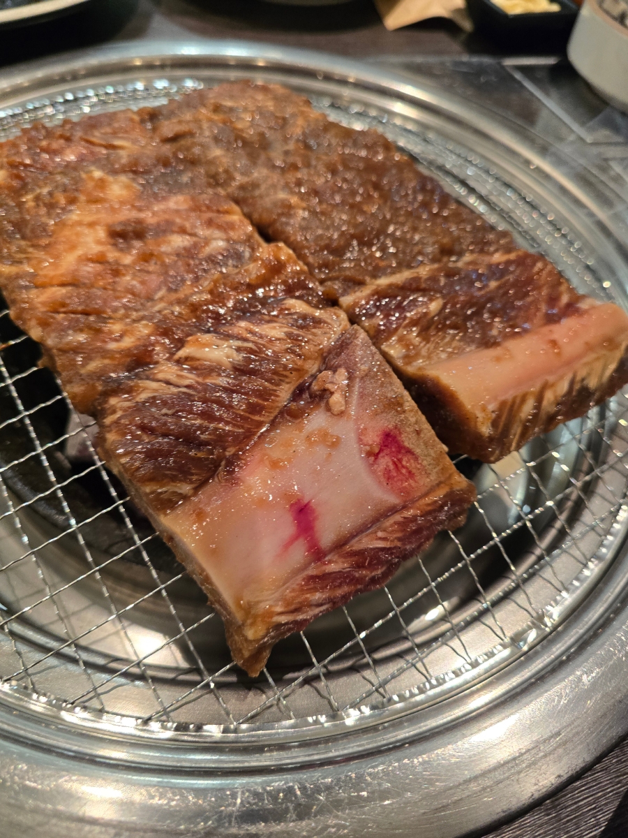 호지원 이미지