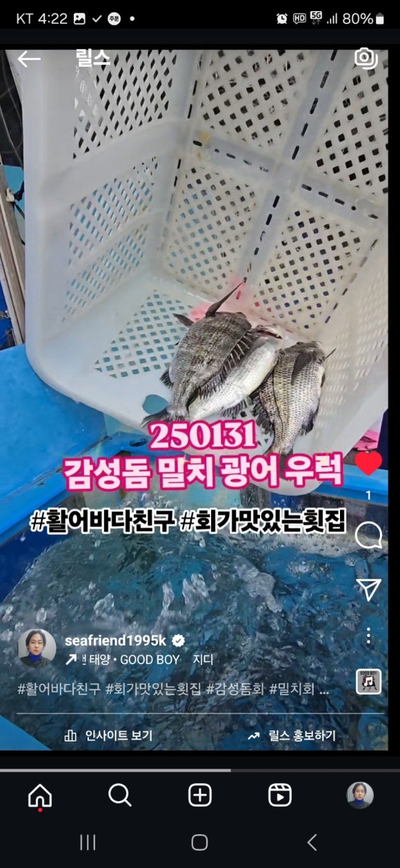 활어바다친구 이미지