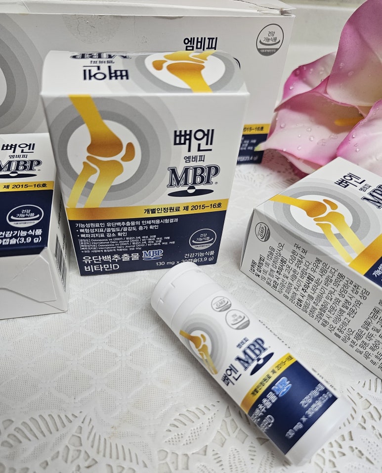 뼈앤돈 이미지