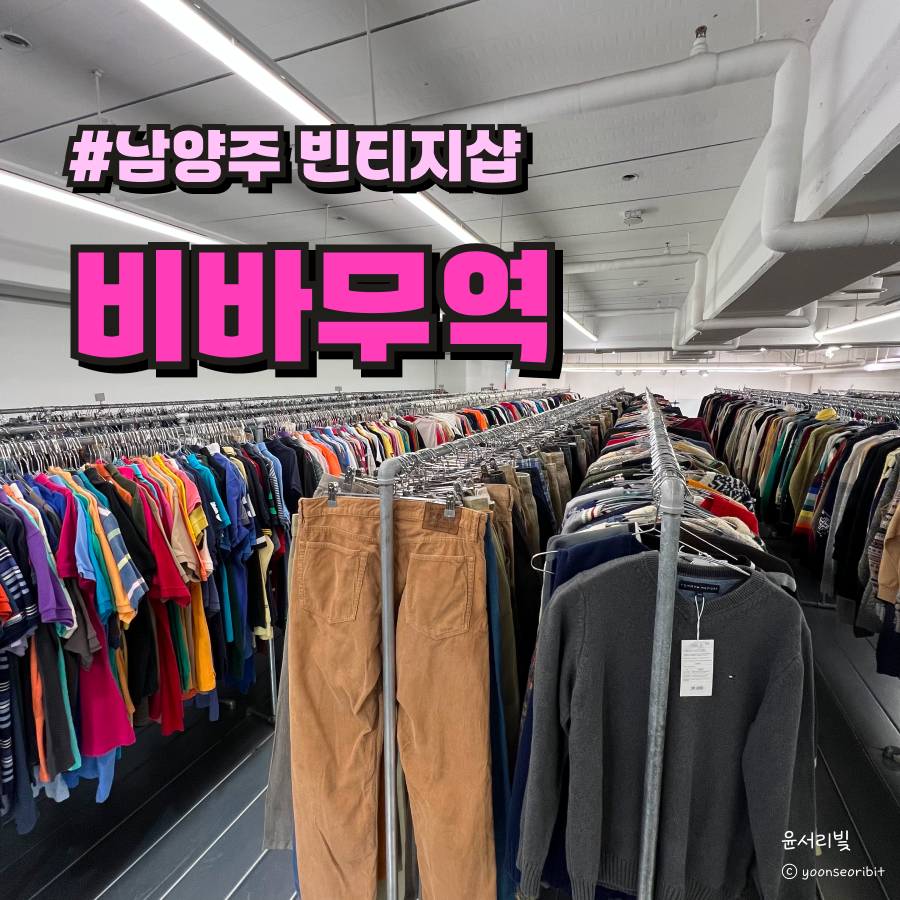 비바윤 이미지