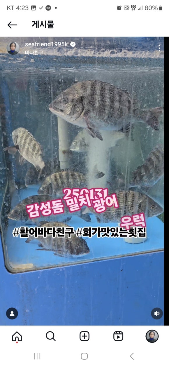 활어바다친구 이미지