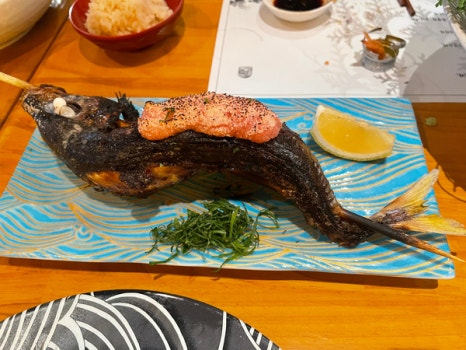 그린파치 이미지