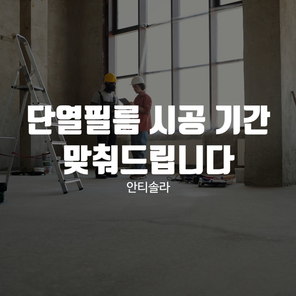 안티솔라 이미지