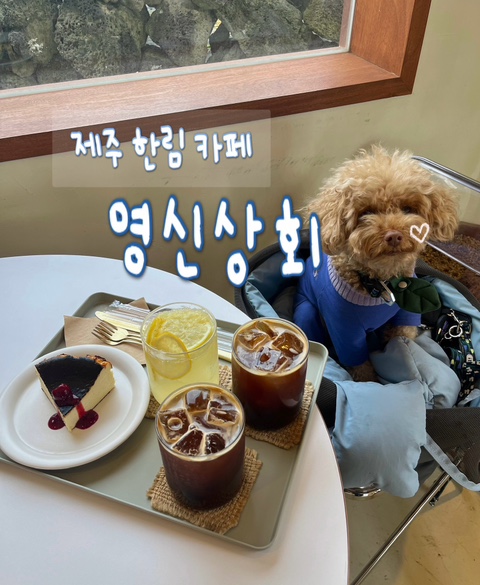 영신상회 이미지
