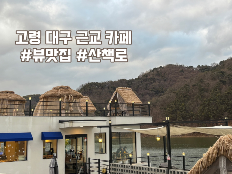 비올댓 이미지