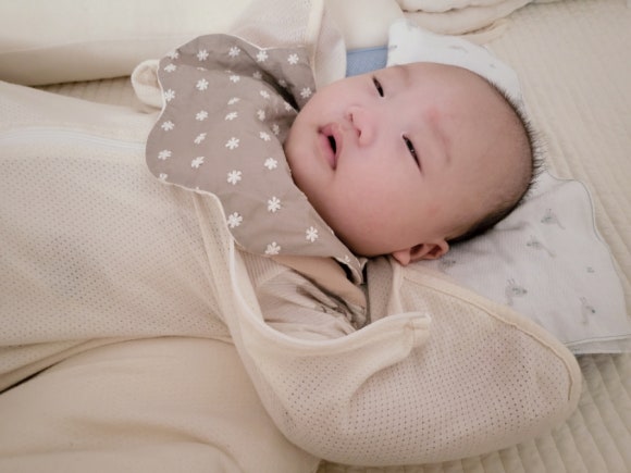 브라운하트 이미지