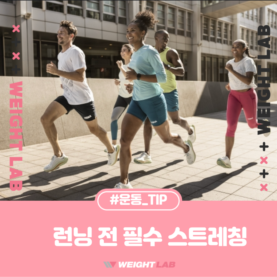 웨이트랩삼전역점 이미지