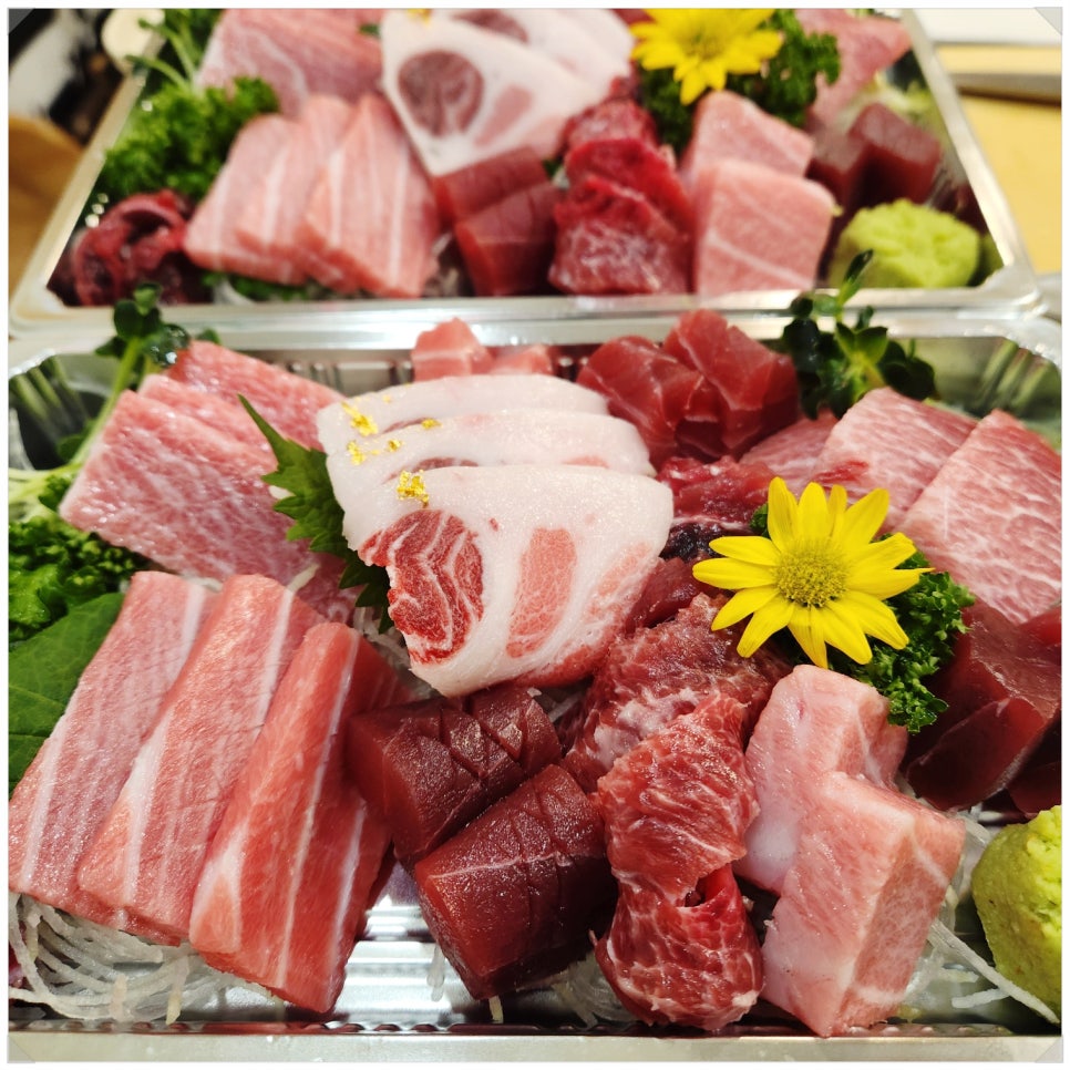 하참치 이미지