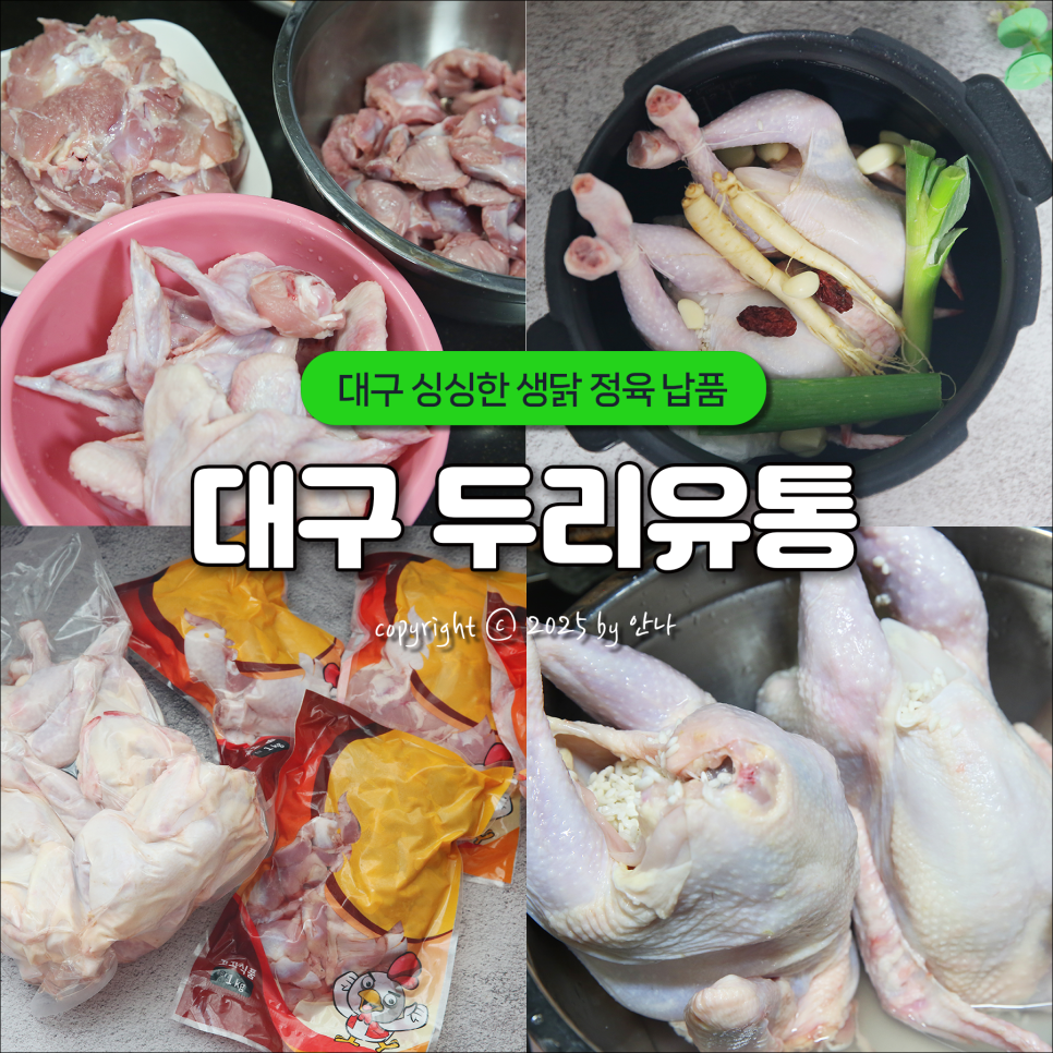 삼계닭도매 이미지