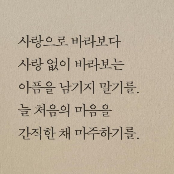 새싹존크린센터 이미지