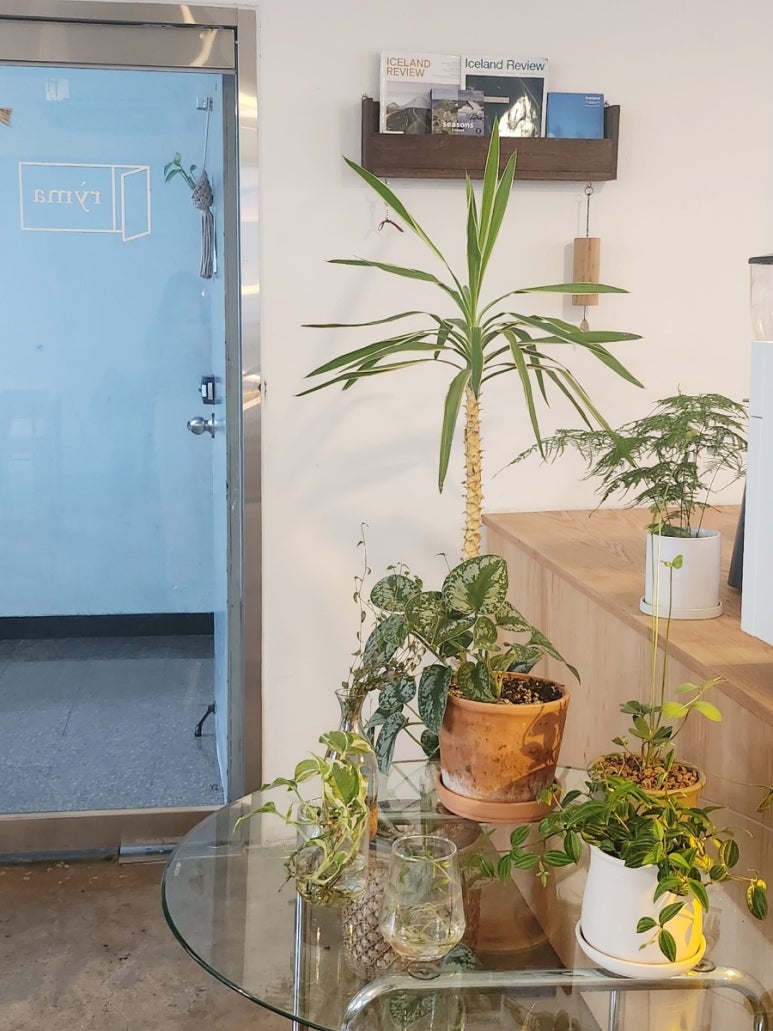 리마(ryma) 이미지