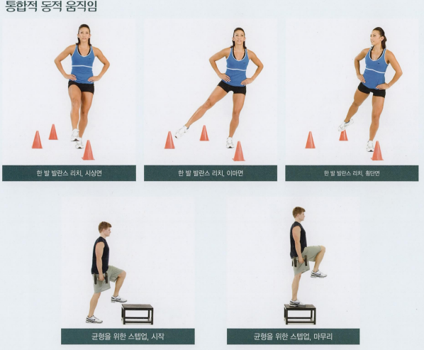 프롬베이스먼트 이미지