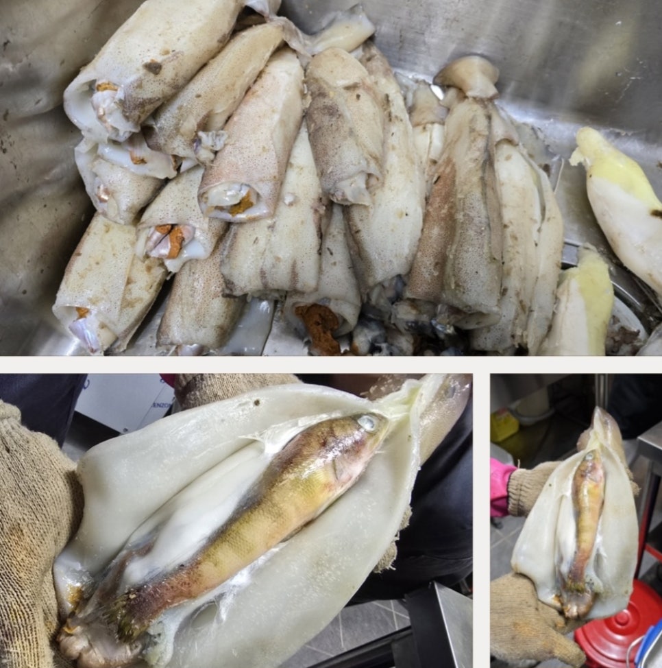 문창기 불향국수&오징어 이미지