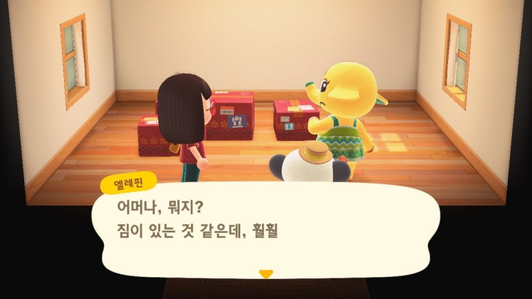 파라다이스힐링 이미지