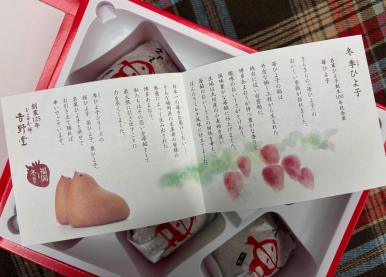 히요코 이미지