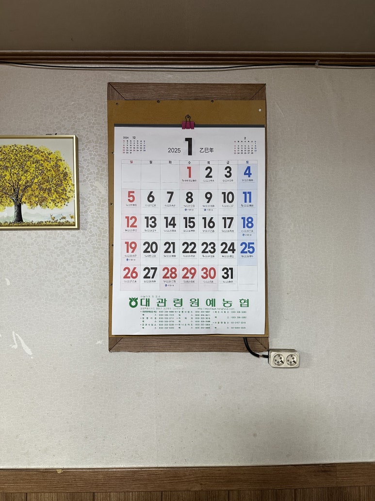 가자무인텔 이미지