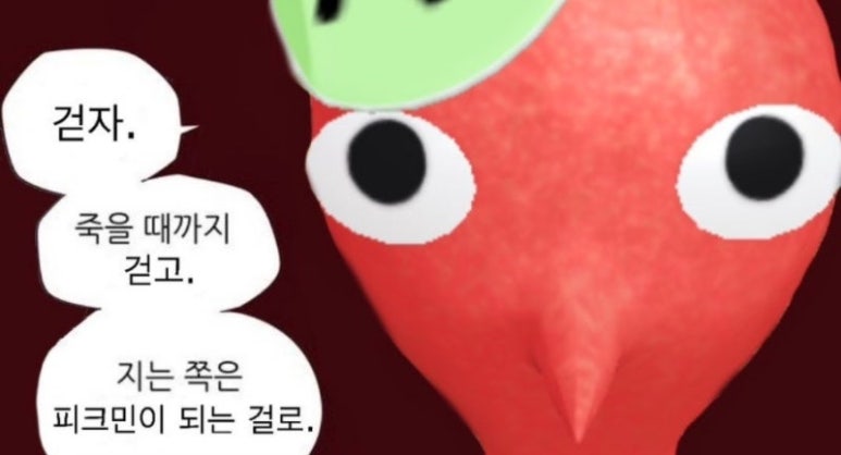 치즈카드 이미지