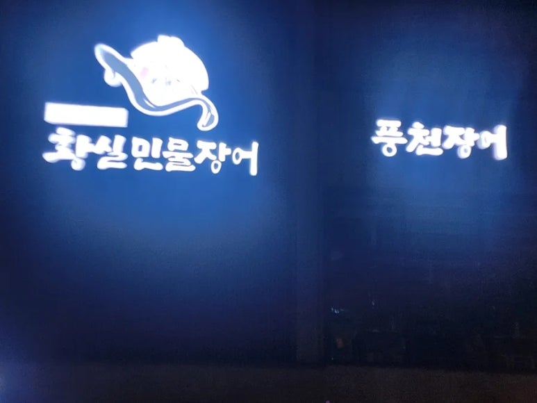 황실장어 이미지