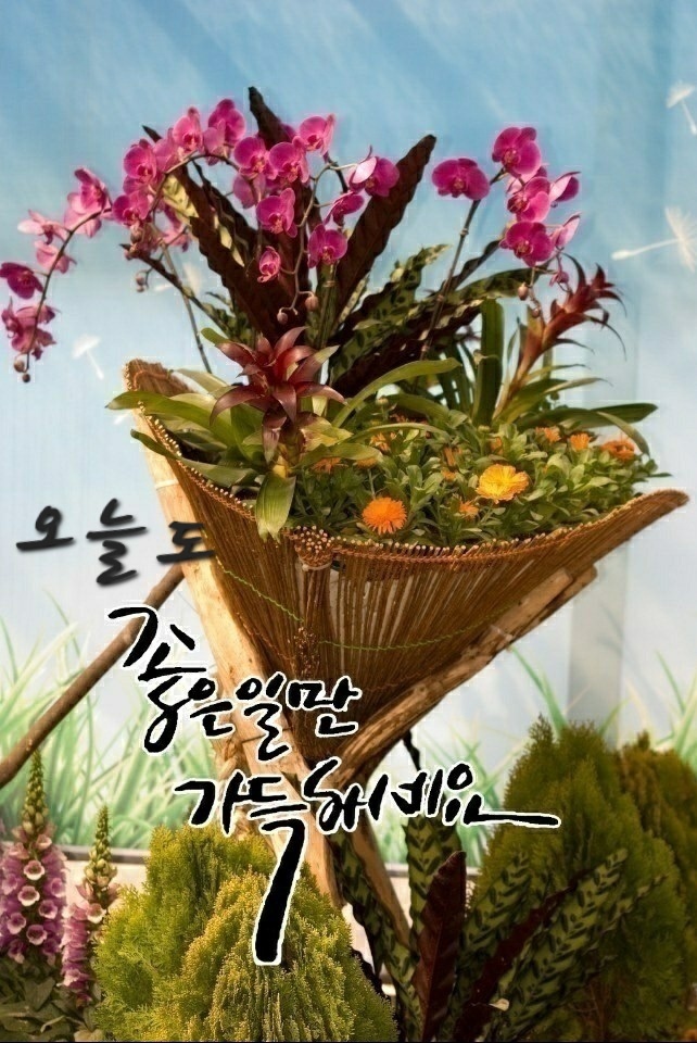 수지상사 이미지