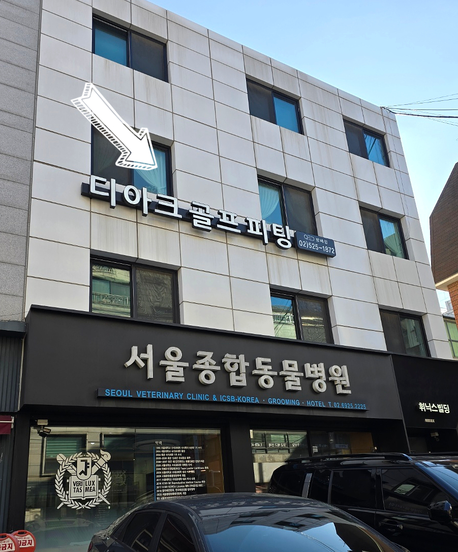 디아크골프랩 이미지