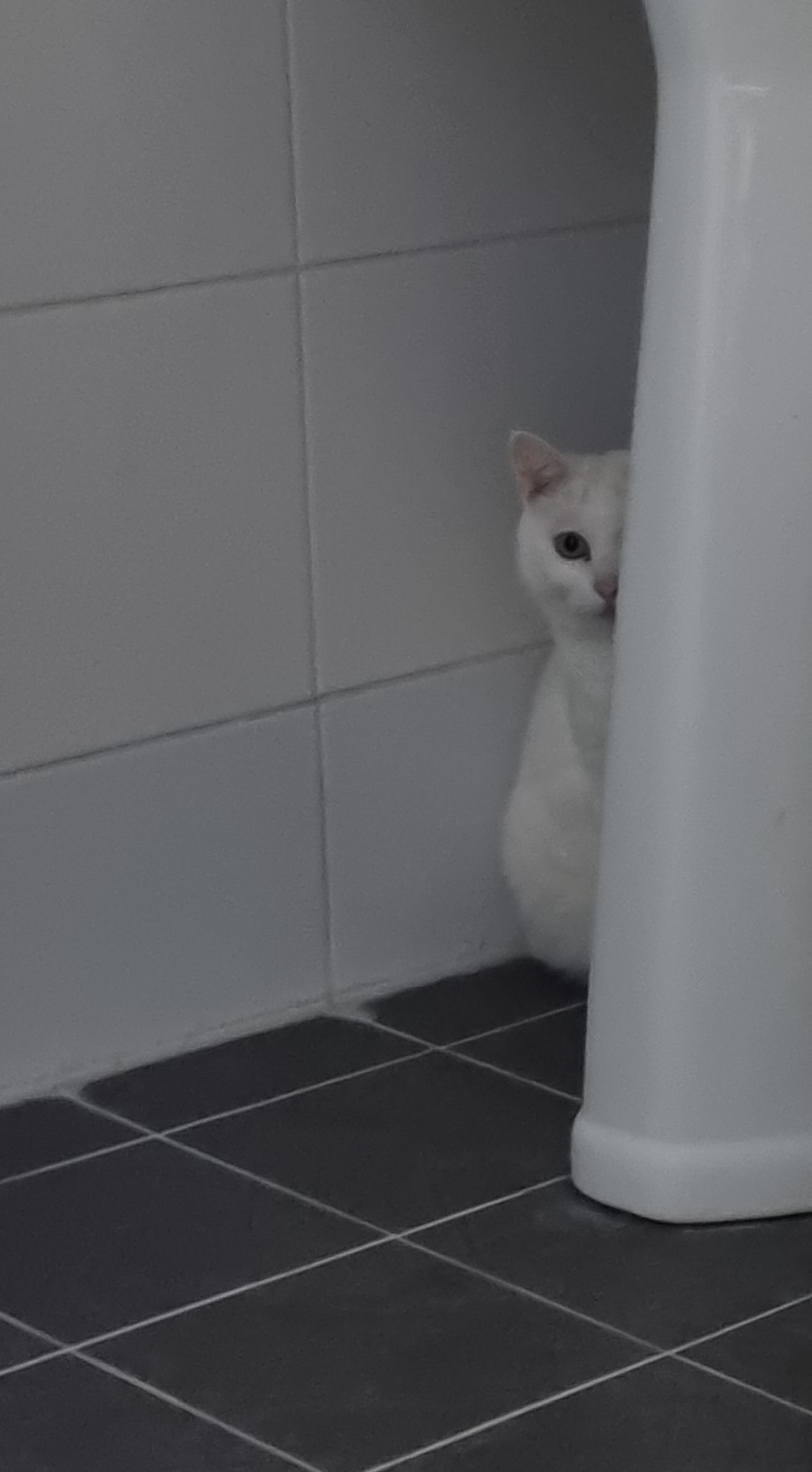 잇주 이미지
