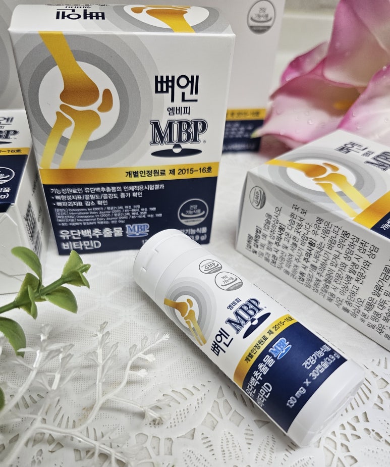 뼈앤돈 이미지