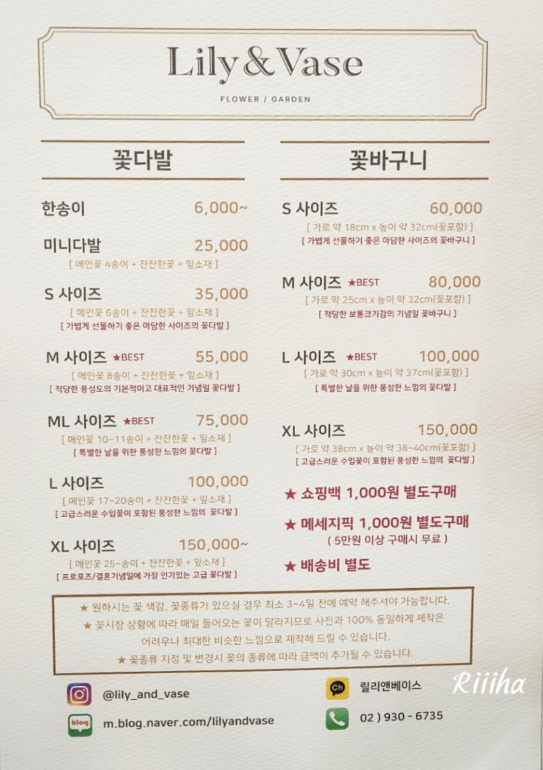 릴리앤베이스 이미지