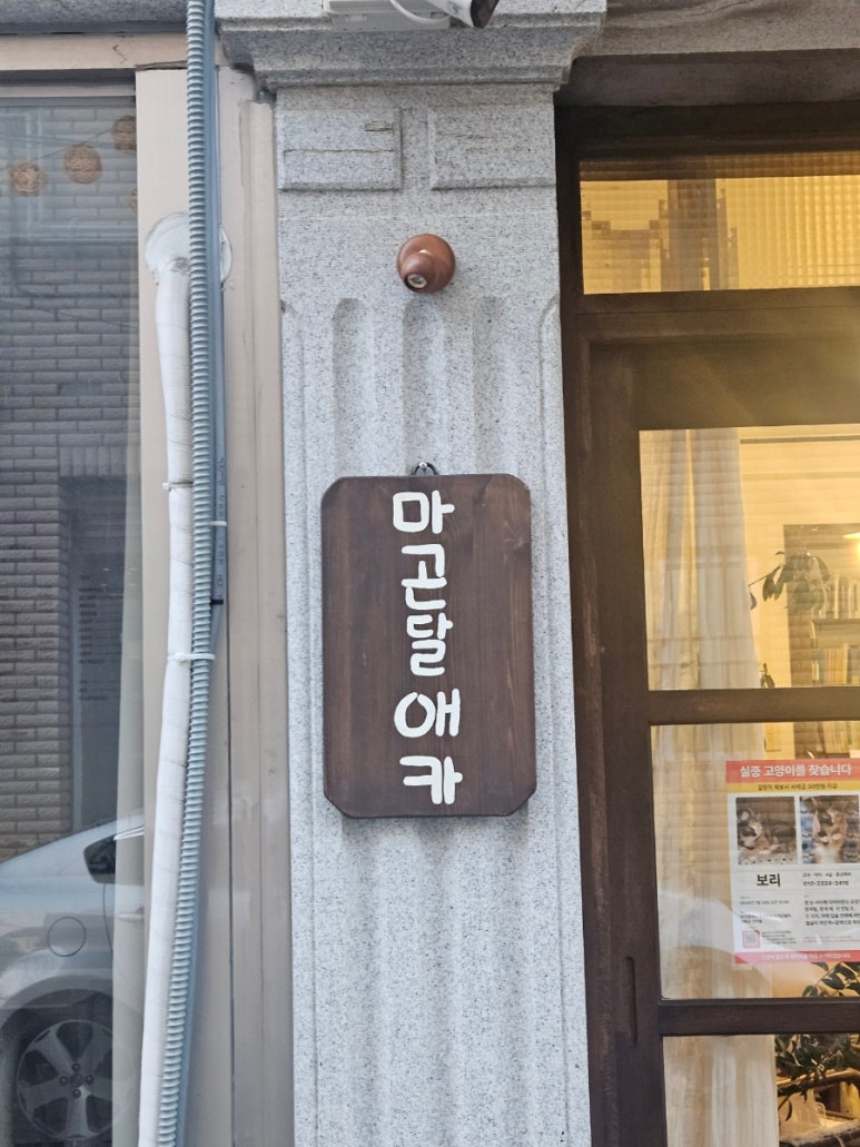 마곤달 이미지