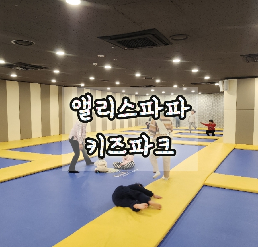 앨리스파파 이미지