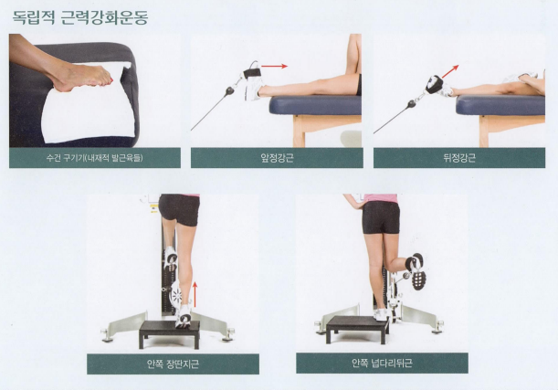 프롬베이스먼트 이미지