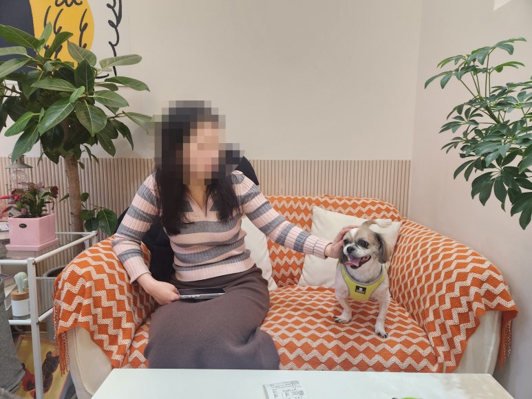 에멘탈커피 화곡점 이미지