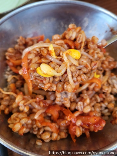 소담칼국수 이미지