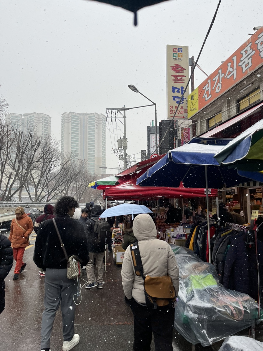LP사구팔구 이미지