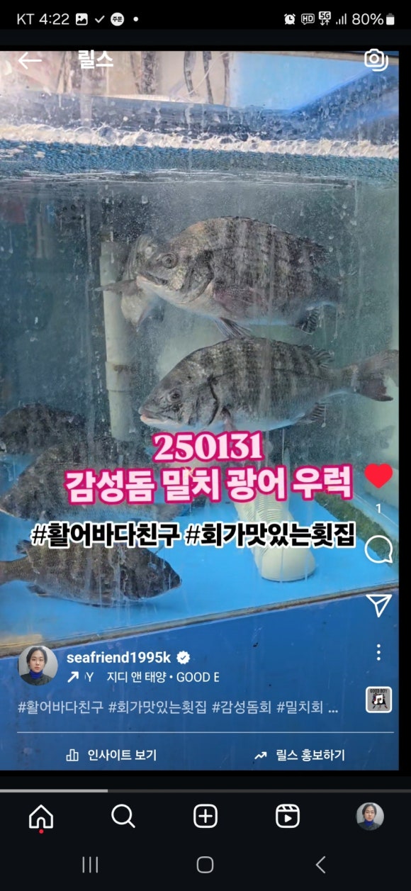 활어바다친구 이미지