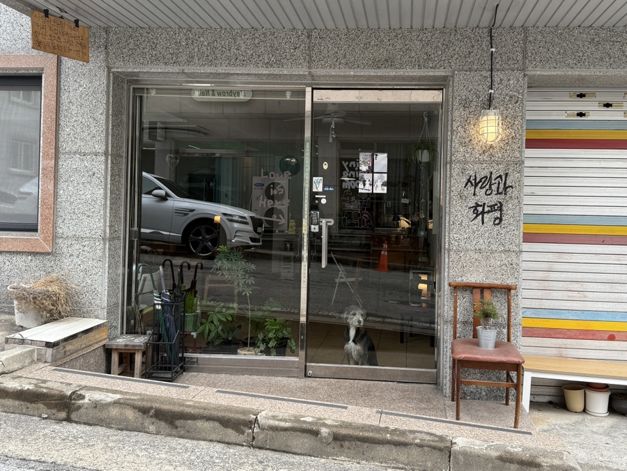 카페 사랑 이미지