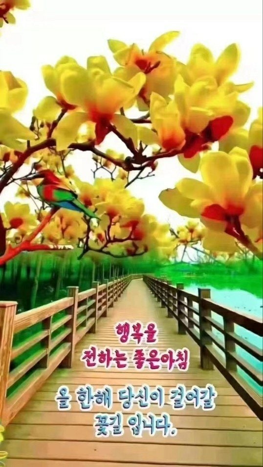 홍정원 이미지