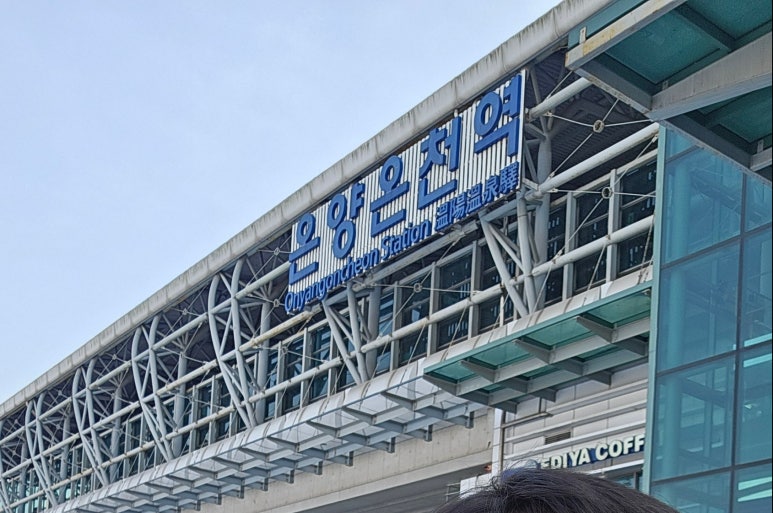 슈어스테이플러스호텔식당 이미지