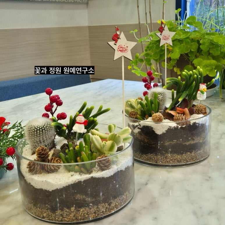 치유정원연구소 이미지