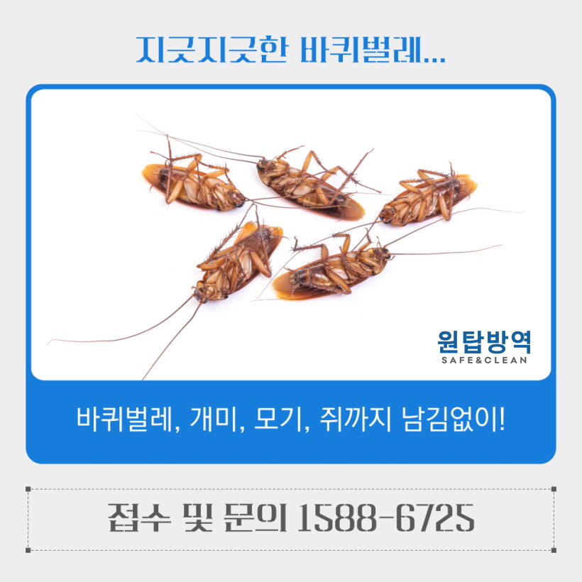 원탑방역 이미지