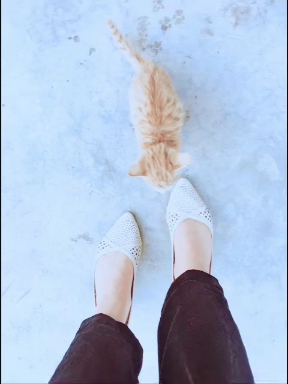 좋은옷 이미지