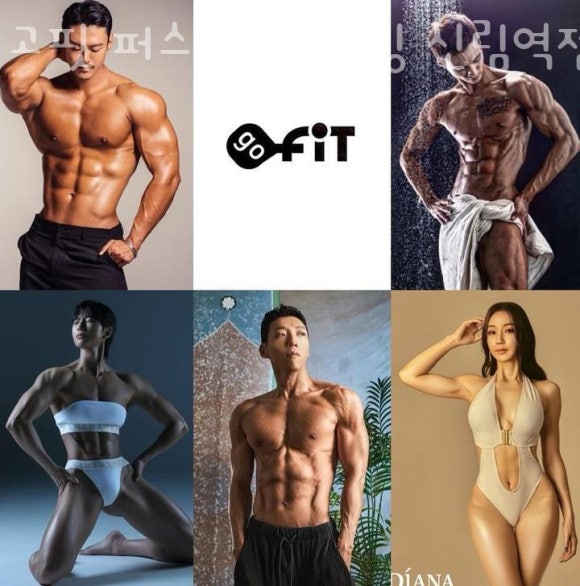 고핏 이미지