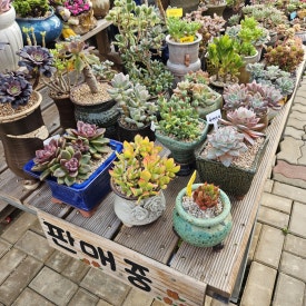 알베로 베이커리 이미지