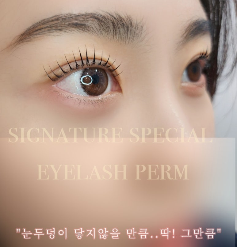 따담 이미지