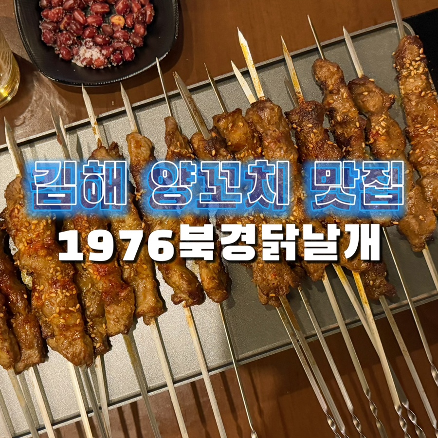 1976북경닭날개 이미지
