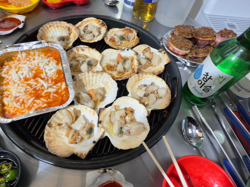 모자가리비 이미지