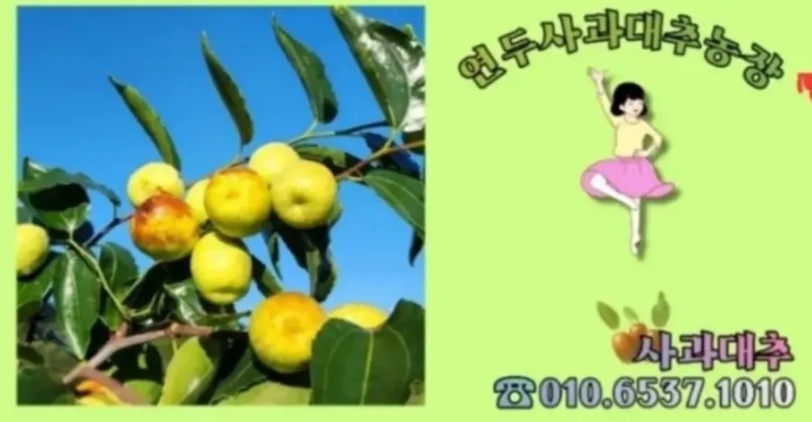 선돌축산 이미지