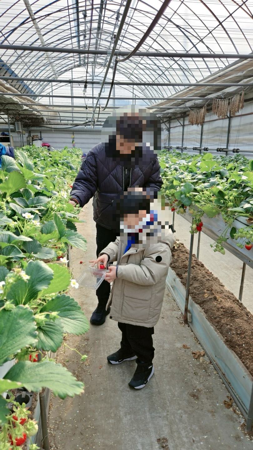 영일농장 이미지