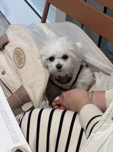 아신상사 이미지