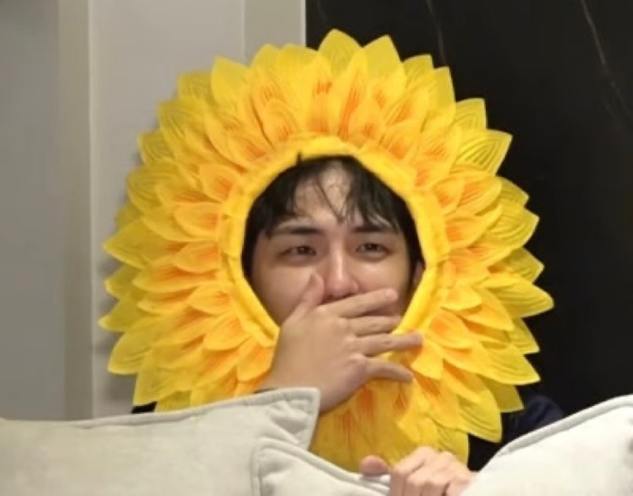 띵가띵가 이미지