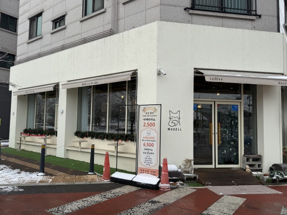 모젤온더테이블 이미지